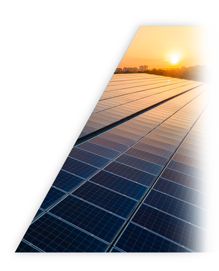 宝运莱·(中国区)最新官方网站